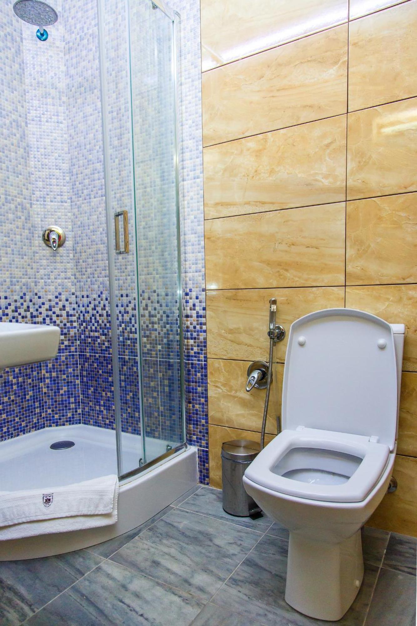 Dniprovskiy Dvir Stari Kodaky Room photo